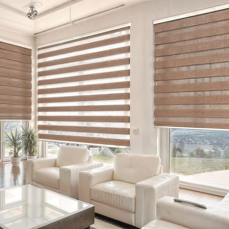Zebra blinds _ Sheer Dimout Blinds _ Vista Fashions (1)